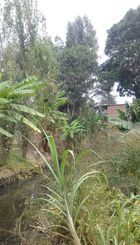 IMG-20180607-WA0004.jpg