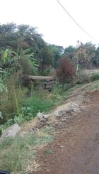 IMG-20180608-WA0004.jpg