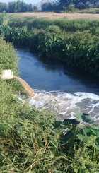 IMG-20180608-WA0005.jpg
