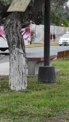 RecuperacionTrujillo02.jpg